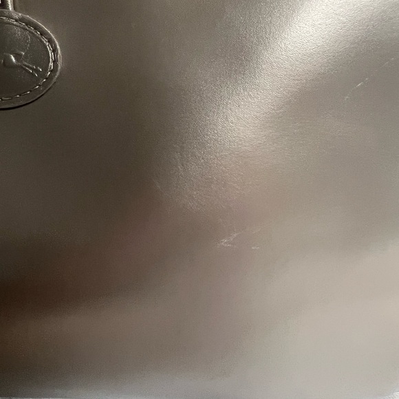 Metallic LongChamp Tote with Toggle Closure & Dust Bag - Picture 4 of 8